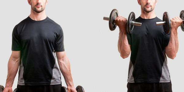 dupli biceps pregib